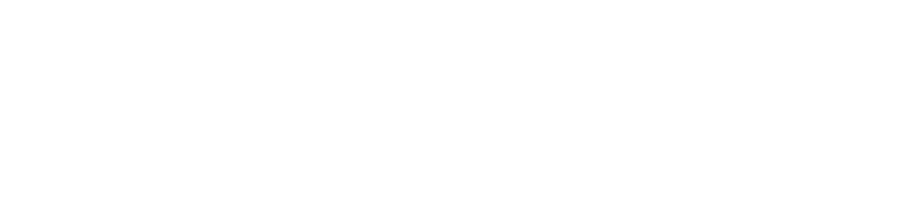 Multidimensional Coaching Hermanni Niskanen Oy logo